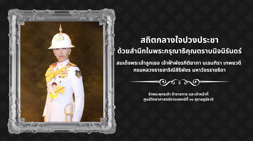 https://rmsc11.dmsc.moph.go.th/upload/popup/webp/pic-Thai-213-202612061781248317725233021.png.webp